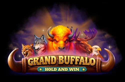 Grand Buffalo Hold and Win by Bgaming — 96.70% RTP, High volatility, 5,000x max win