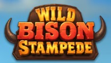 Wild Bison Stampede