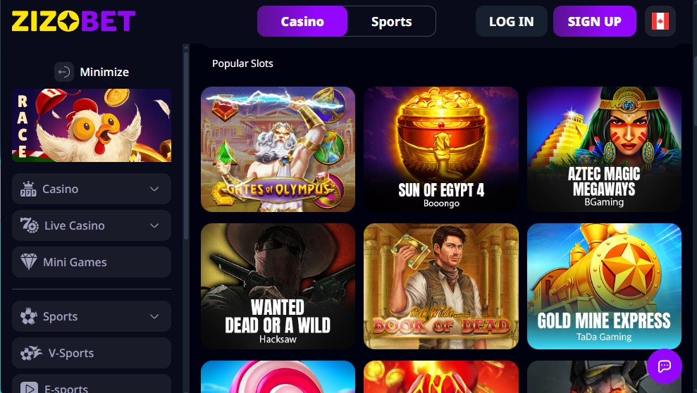 Zizobet Casino game library — 8K+ games from 16 providers